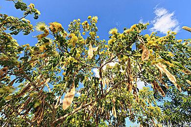 传微软正考虑在中东地区停售Xbox主机