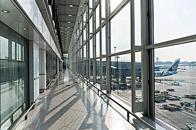 《我的世界》Windows版推出新生物青蛙测试