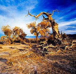 VR魔法ARPG《废墟术士》新宣传片 今春登陆VR平台